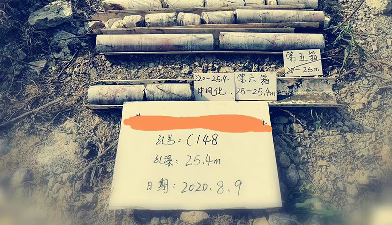 澳门灵蛇网资料大全