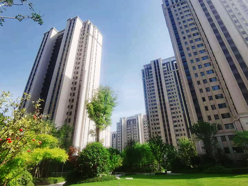 澳门灵蛇网资料大全