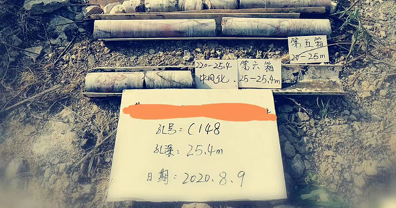 澳门灵蛇网资料大全